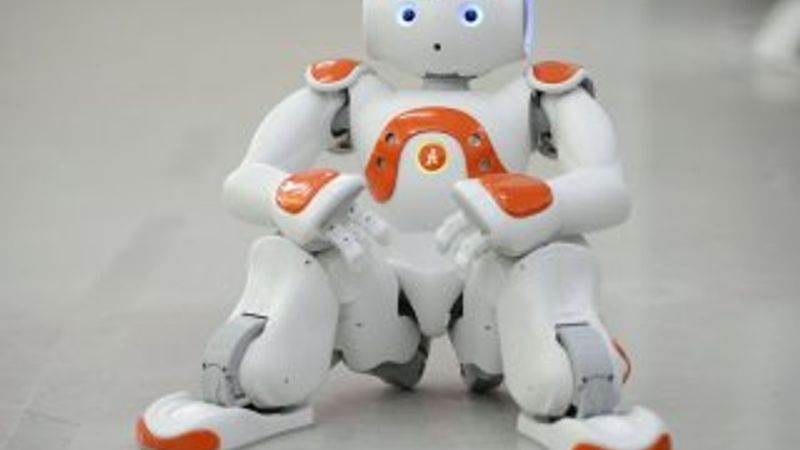 Çocuk robot iCub'a kardeş geldi