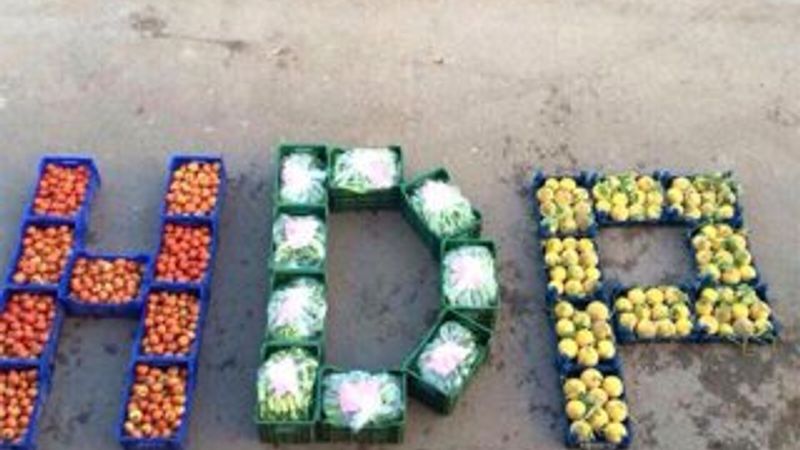 HDP'ye destek için paylaşılan fotoğraflar