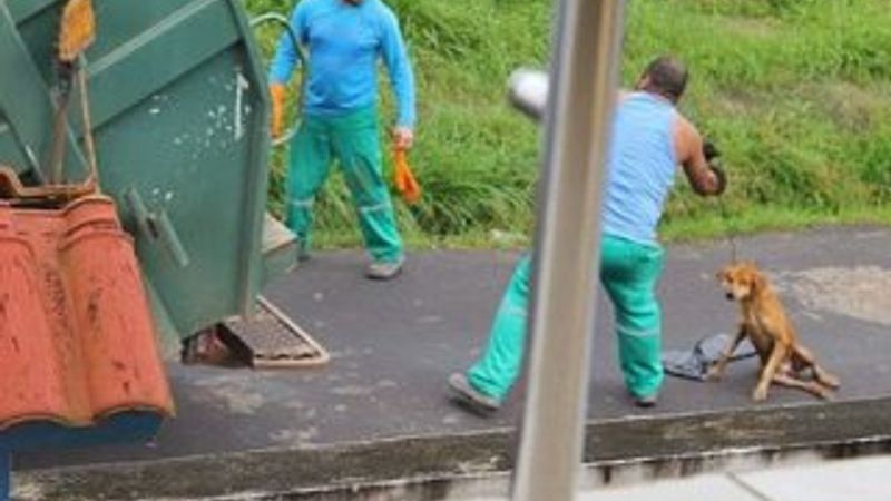 Çöpçü çarptığı köpeği canlı canlı çöp kamyonuna attı