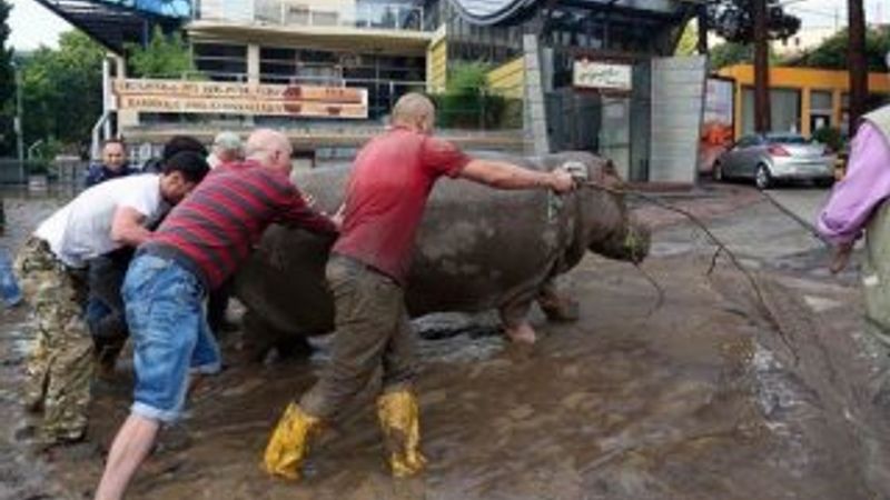 Gürcistan'ın başkenti Tiflis'te sel