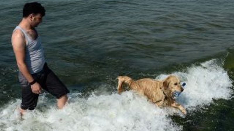 İstanbul'da sıcaktan bunalanlar sahillere akın etti