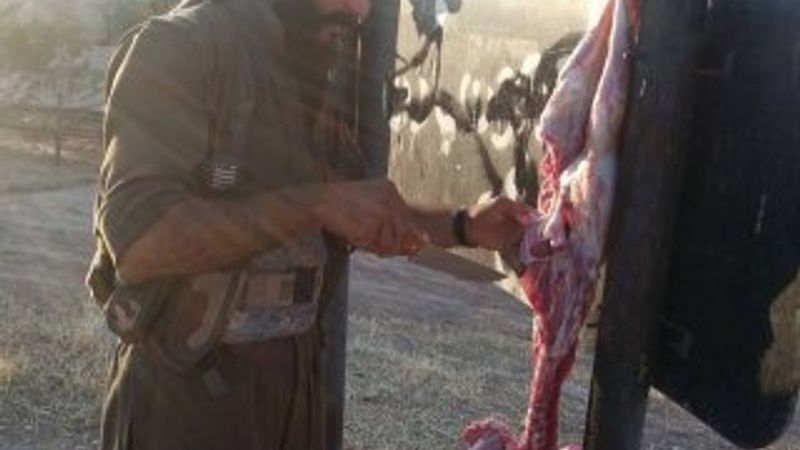 Tel Abyad'ı alan YPG'liler kurban kesti