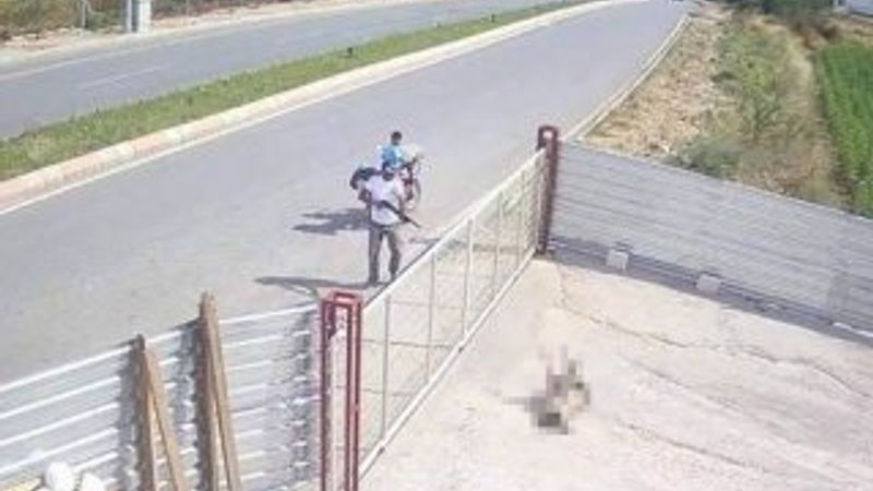 Edirne'de köpeği pompalı tüfekle vuran adam konuştu