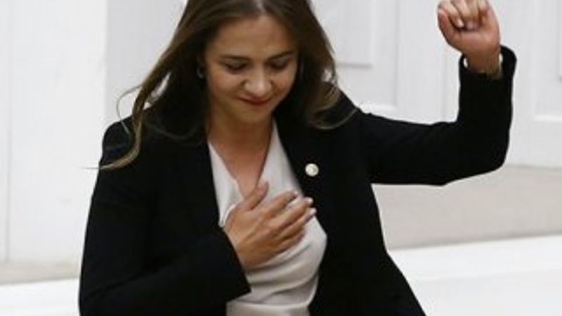 Rezidansta 3 daire sahibi CHP'li solcu vekil