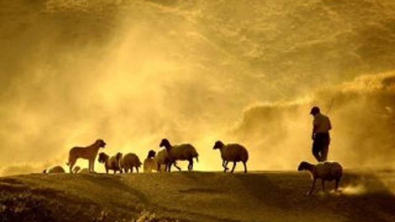 Bitlis'te zorlu yolculuk