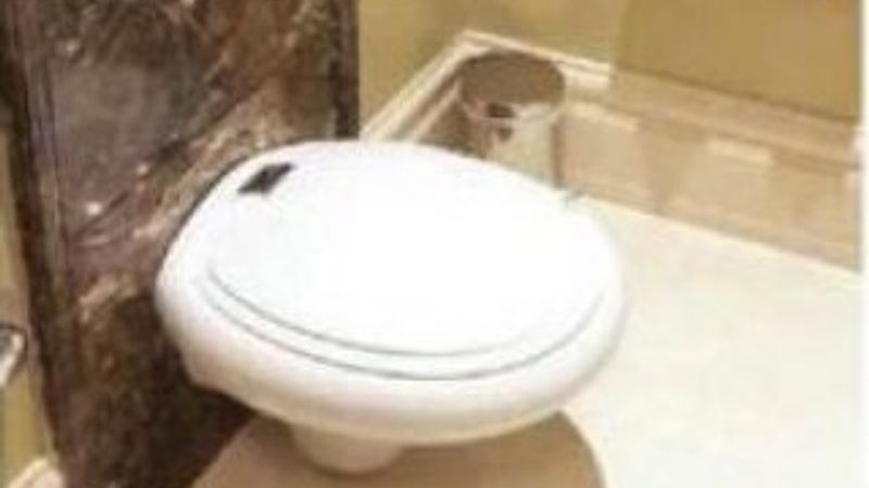 Mimarlar Odası'nın klozet yalanı