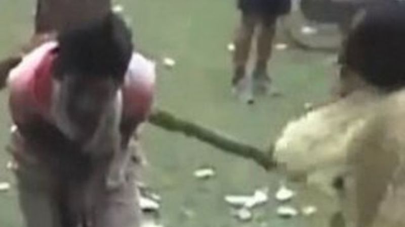 Tacizciyi ağaca bağlayıp kırbaçladılar - İZLE