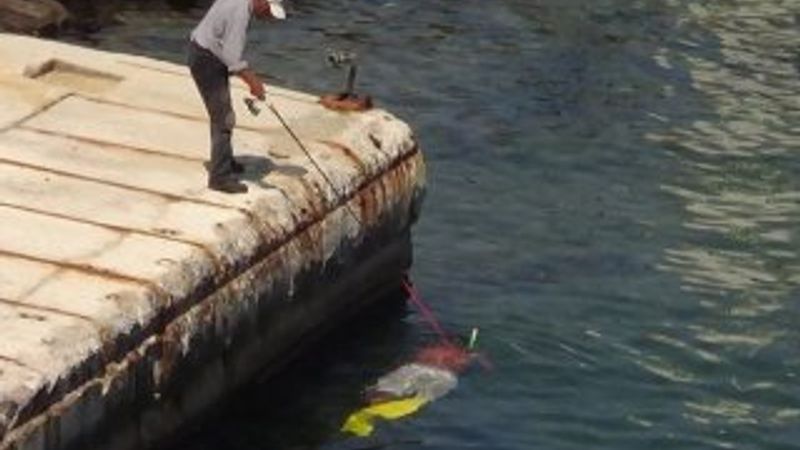 Bu kez oltaya dalgıç takıldı