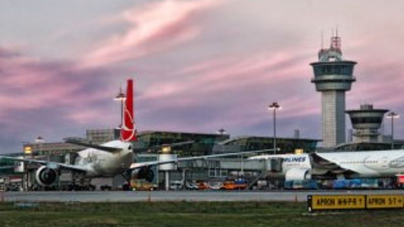 Atatürk Havalimanı'ndaki ölü kuşlar piste inişi geciktirdi