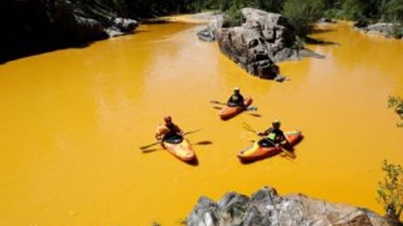 ABD'de çevreciler nehre zehir akıttı