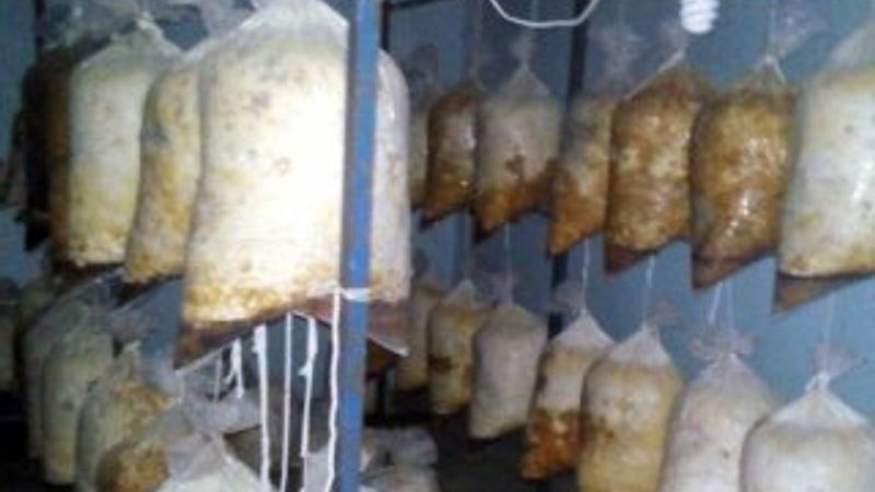 Diyarbakır’ı yok etmeye yetecek bomba yakalandı