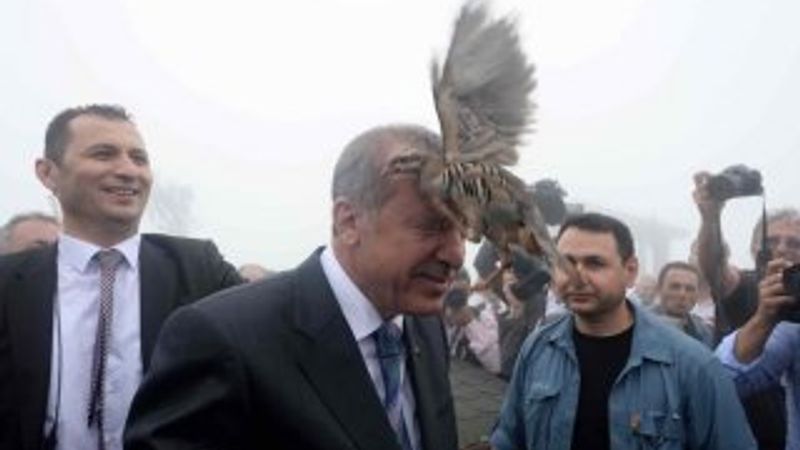 Cumhurbaşkanı Erdoğan'ın başına keklik kondu