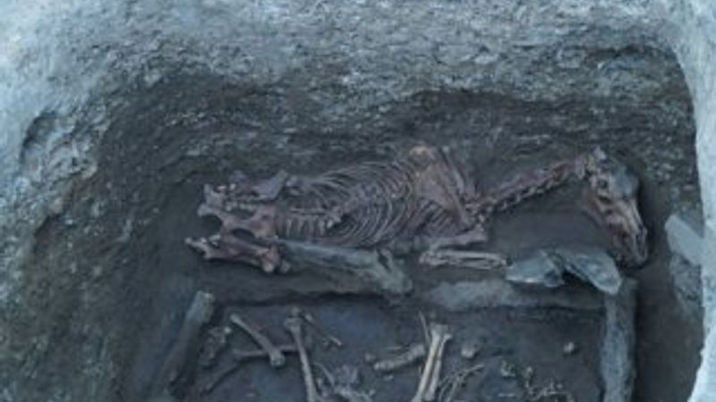 TİKA Ergenekon'a dair ipuçları buldu