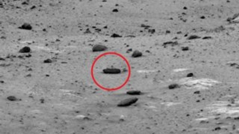 Mars kertenkelesi bulundu