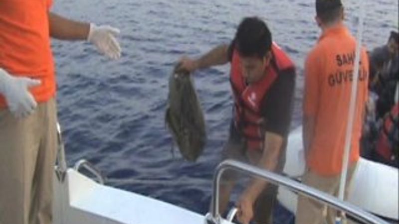 Ege Denizi'nde 384 kaçak yakalandı