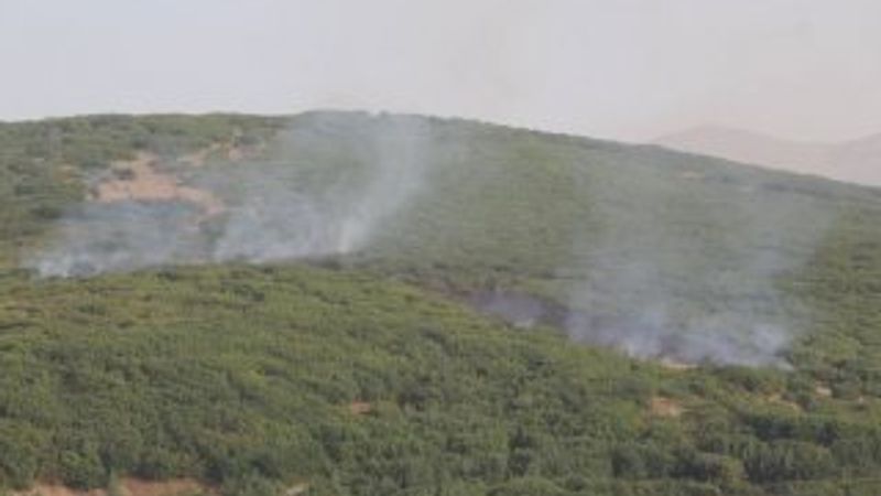 Bitlis'te PKK'ya karşı operasyon başlatıldı