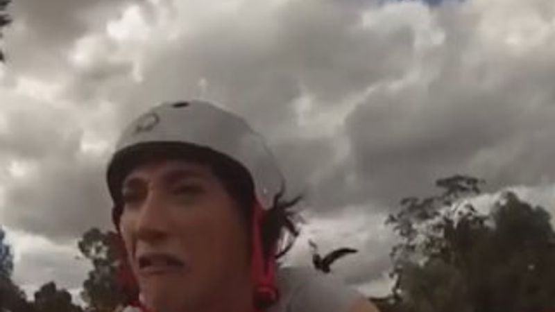 Video fenomeni saksağanın saldırısından kurtulamadı