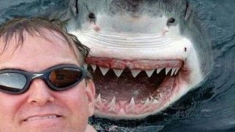 Selfie çekmek köpek balığından daha tehlikeli