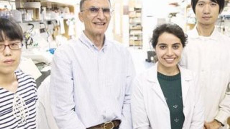 Aziz Sancar: Gençler benim yaptığımı yapmasın