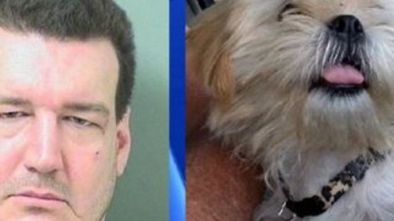 Köpeği ısıran adam hapis cezası aldı