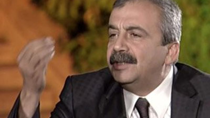 Sırrı Süreyya Önder'den skandal sözler