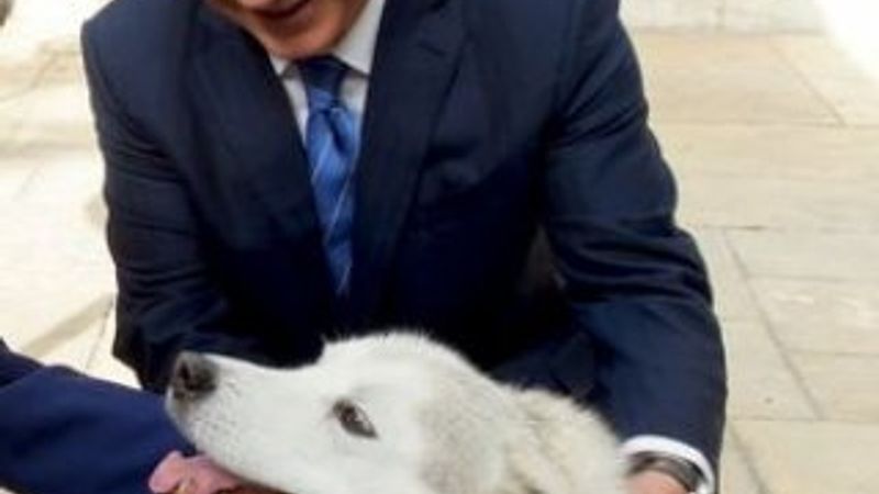 Netanyahu'nun köpeği misafirlerini ısırdı