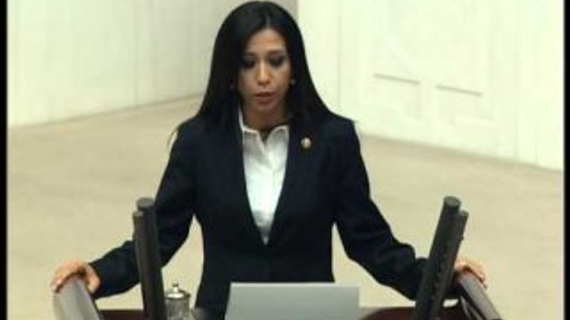 CHP'li vekil Gülay Yedekçi'den Mars projesi