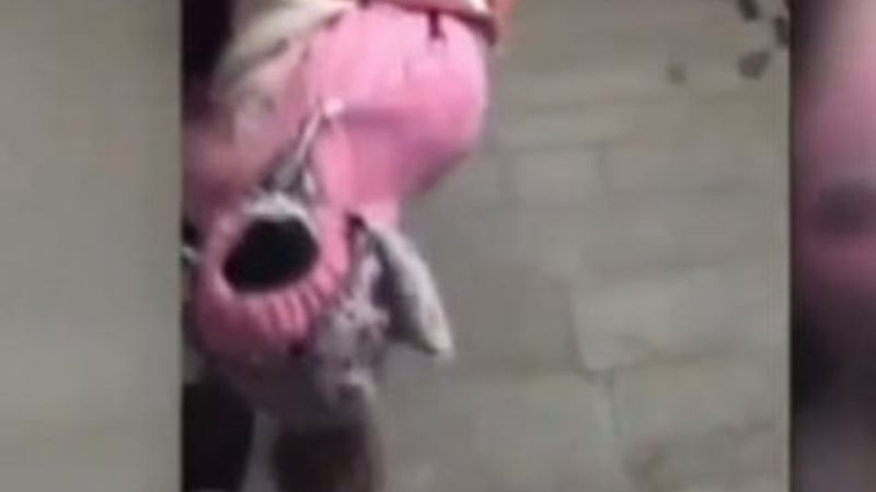 Dilenci kadının bebeği oyuncak çıktı İZLE