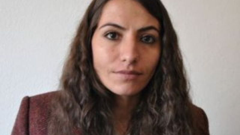 HDP'li vekilden skandal sözler