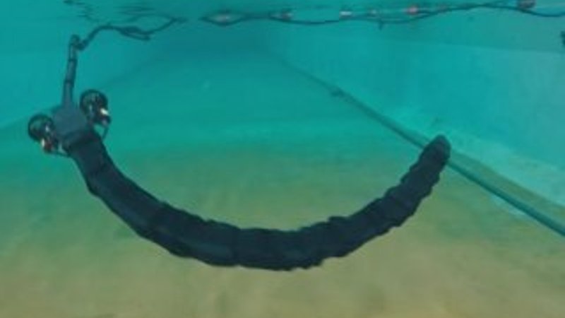 Robot yılan: Eelume