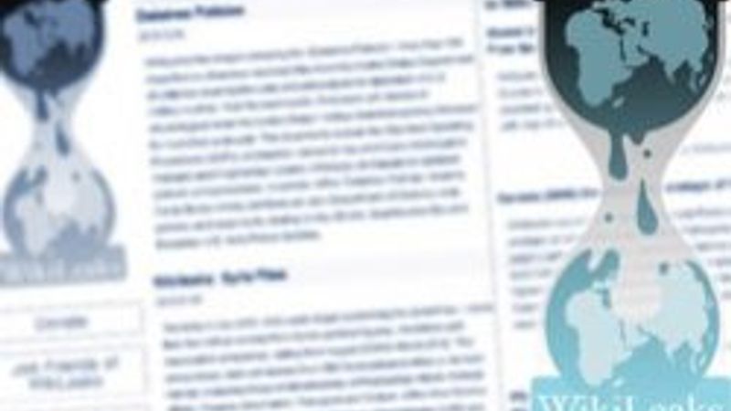 Serkan İnci Wikileaks'i rezil etti