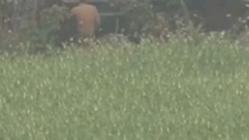 Marmaris'te darbeci asker ağaçta yakalandı