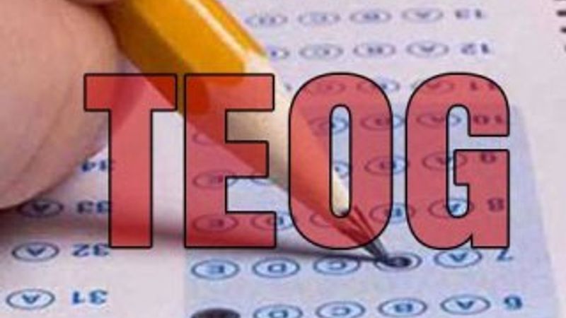 TEOG soruları ve sonuçları ne zaman açıklanacak 2016