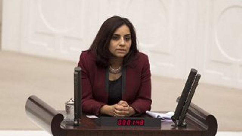 CHP'li Doğan: Anayasa teklifi yasalaşırsa AB süreci biter