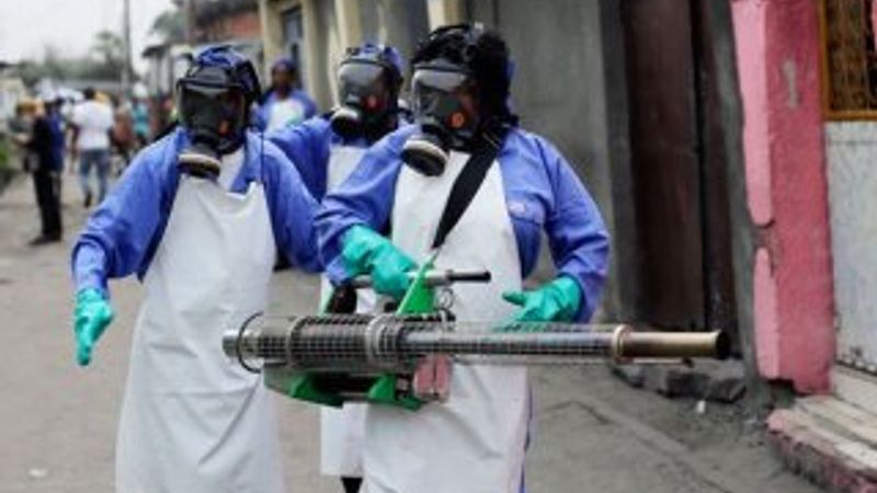 Brezilya'da salgın alarmı