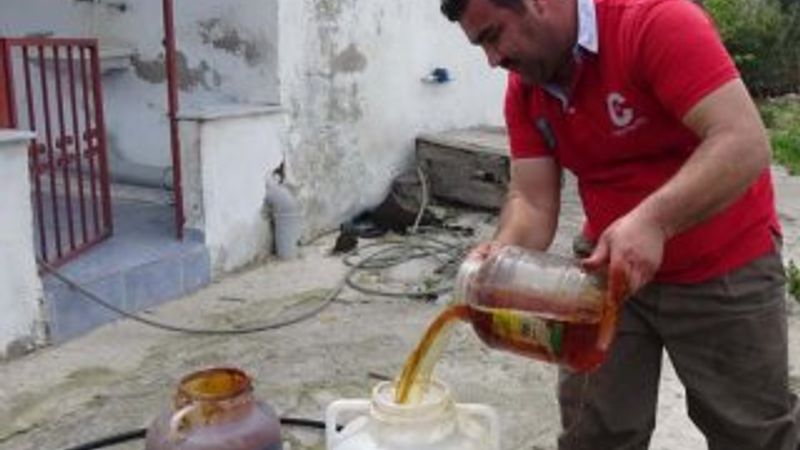 3 diplomalı çiftçiden alternatif tarım başarısı