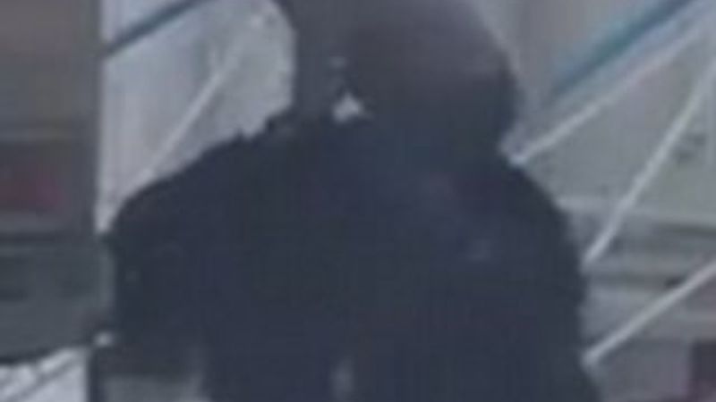 Rusya'da bir adam ayıya bindi