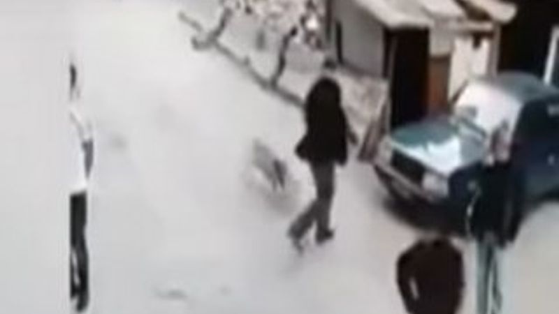 Köpeğin çarptığı adam hastanelik oldu