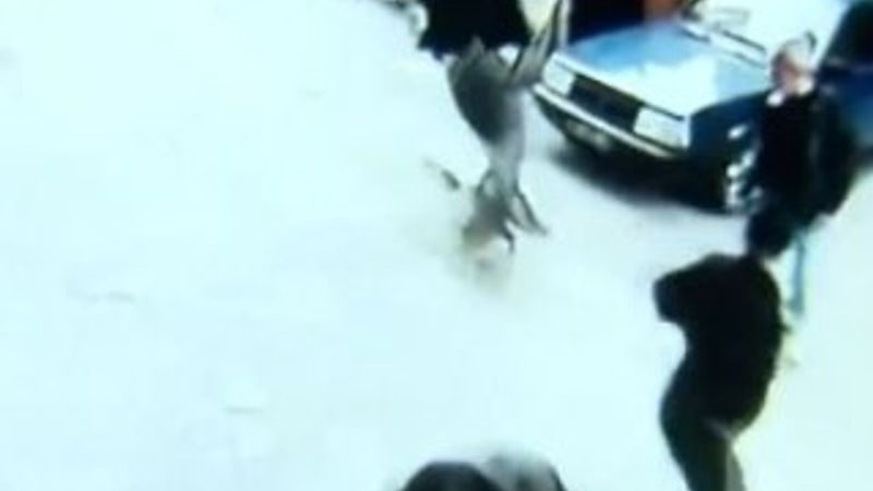 Köpeğin çarpmasıyla hastanelik olan adam konuştu