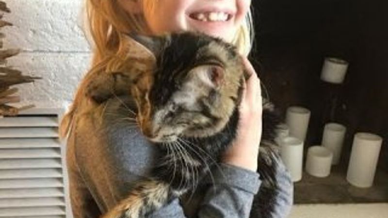 Görme engelli kediyi sahiplenen küçük kız
