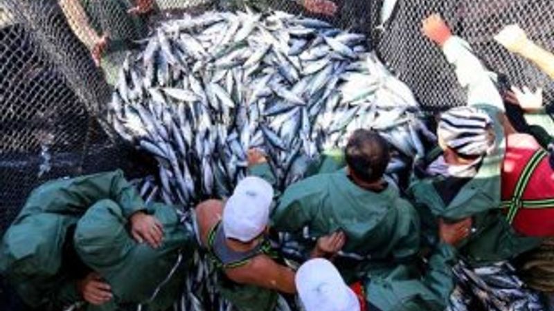 Denizlerde av sezonu sona erdi