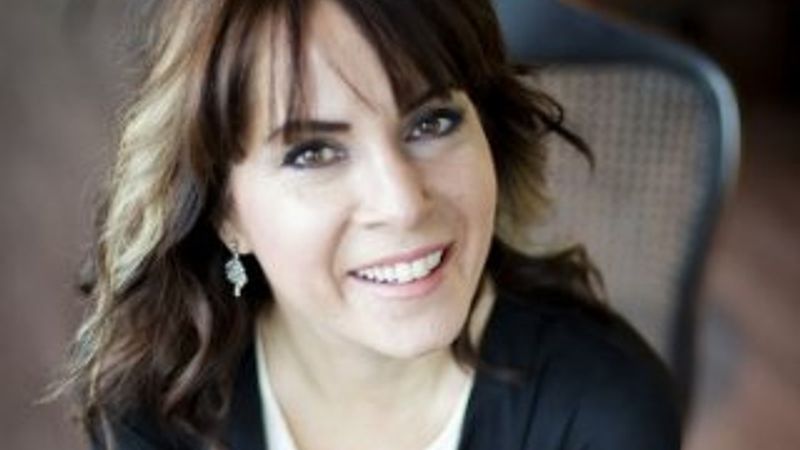 Sevinç Erbulak gurbetçi seçmene kızgın