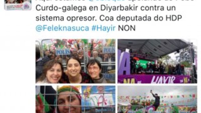 AGİT gözlemcisinin HDP aşkı