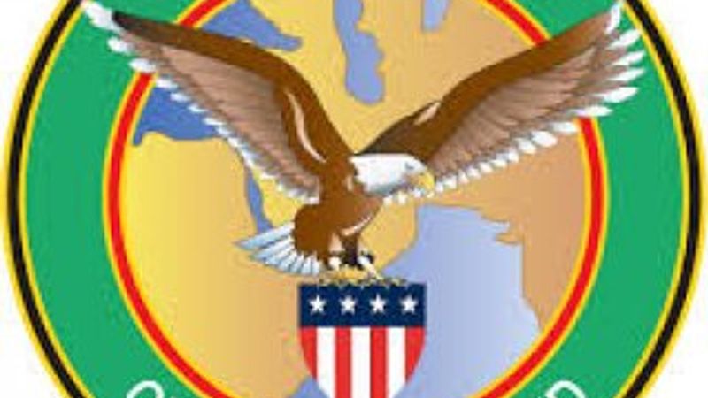 ABD: Reina saldırısını planlayanı öldürdük