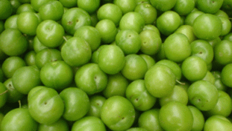 Eriğin kilosu 10 liraya düştü