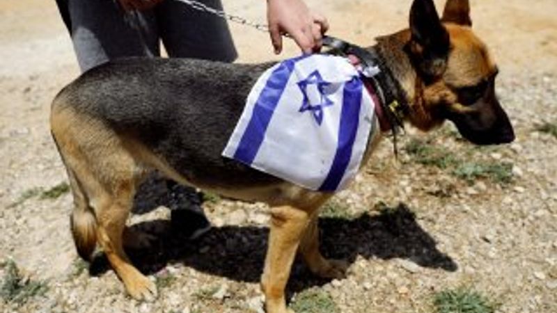 İsrail 69'uncu yılını kutladı