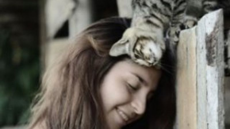 Kedilerin tuhaf davranışları ne anlama gelir