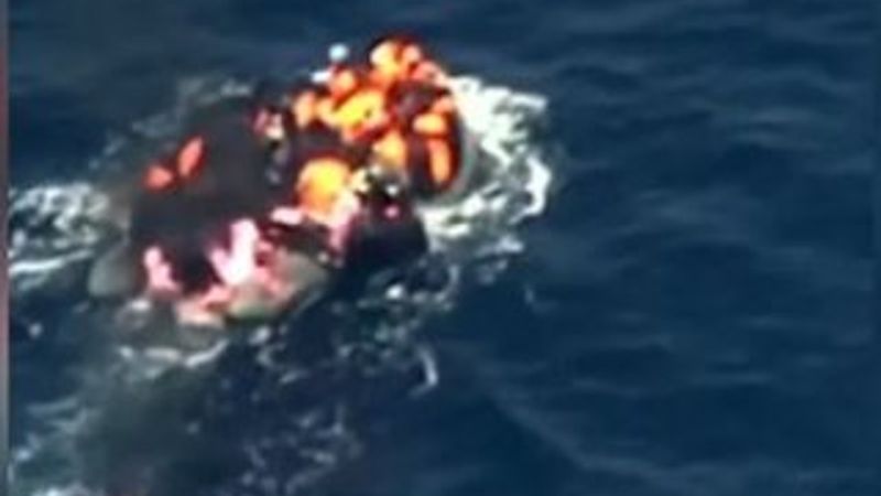 Antalya'da denizde 194 kaçak yakalandı