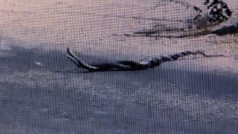 Muğla'da yılanların dansı görüntülendi