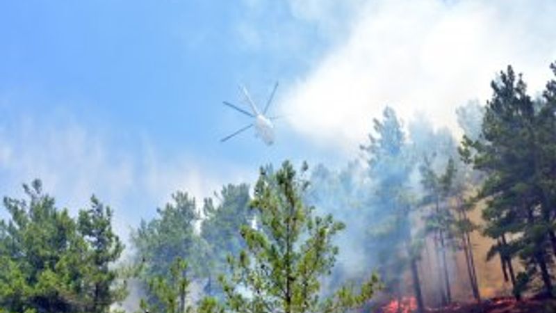 Alanya'da orman yangını
